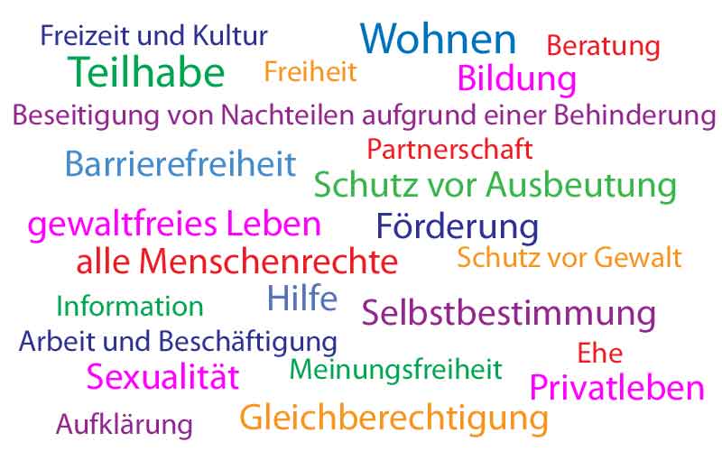 Teilhabe, Wohnen, Schutz vor Ausbeutung, Förderung, Selbstbestimmung, Barrierefreiheit, Sexualität, Bildung, alle Menschenrechte, Gleichberechtigung, gewaltfreies Leben, Beseitigung von Nachteilen aufgrund einer Behinderung, Arbeit und Beschäftigung, Freizeit und Kultur, Hilfe, Freiheit, Meinungsfreiheit, Aufklärung, Beratung, Privatleben, Ehe, Schutz vor Gewalt, Partnerschaft, Informationen